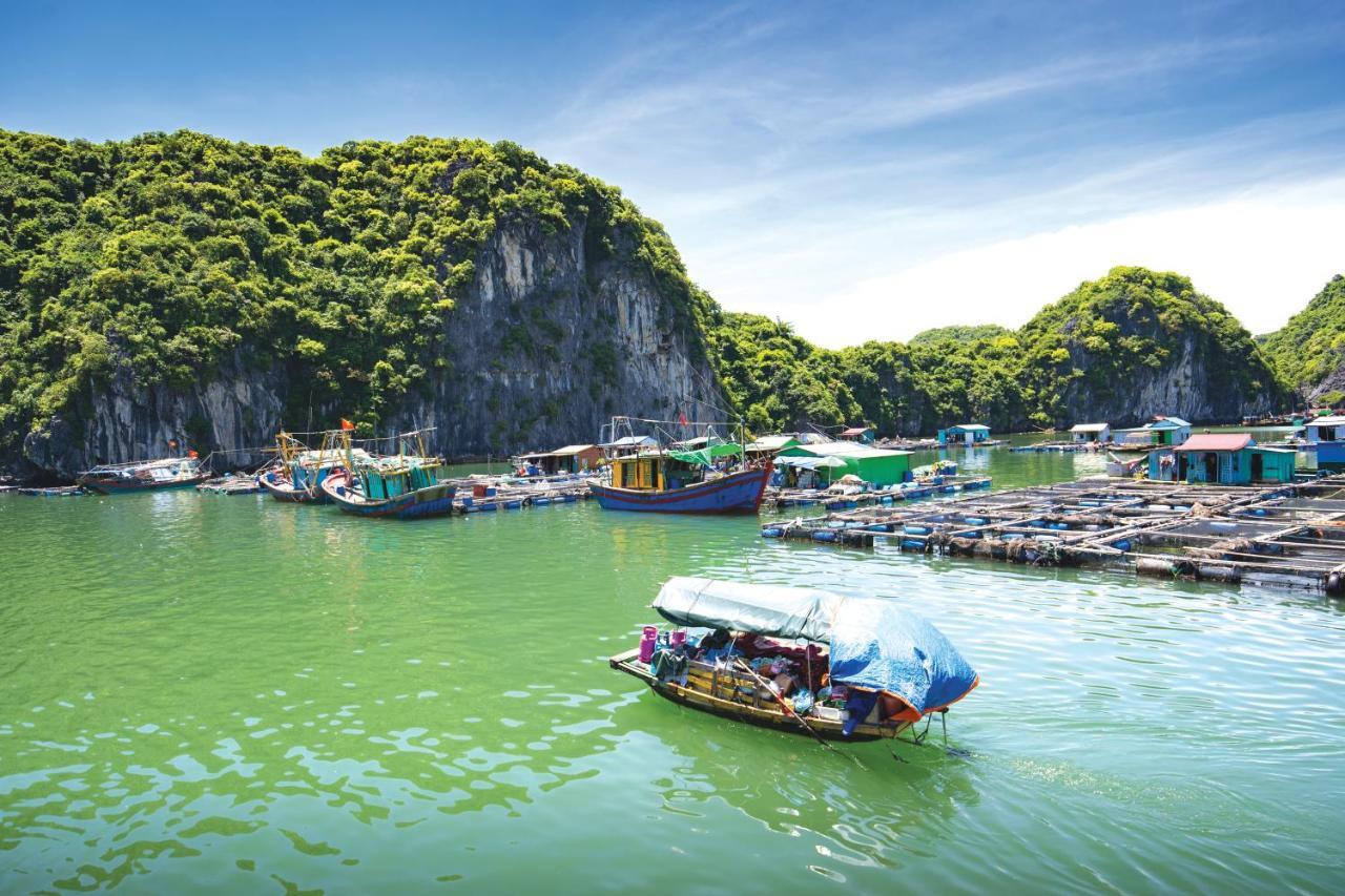 Sena Cruises - Wonder On Lan Ha Bay Hotel Ha Long Exterior foto